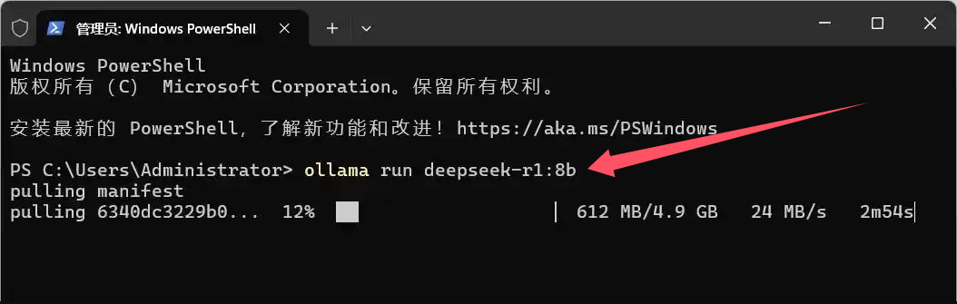 deepSeek-r1下载过程